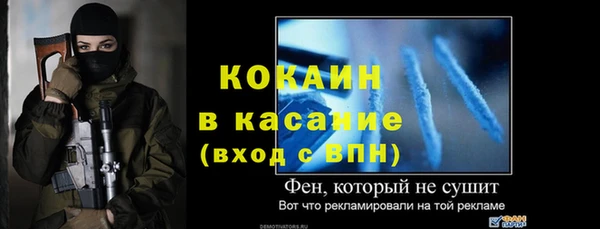 ПСИЛОЦИБИНОВЫЕ ГРИБЫ Вязники