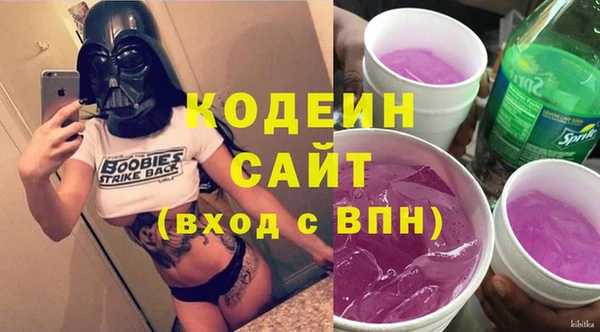 ПСИЛОЦИБИНОВЫЕ ГРИБЫ Вязники