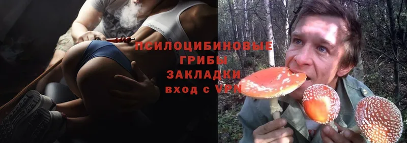 Псилоцибиновые грибы Magic Shrooms  купить закладку  Белёв 